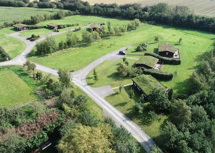 Kingfisher سيلبي